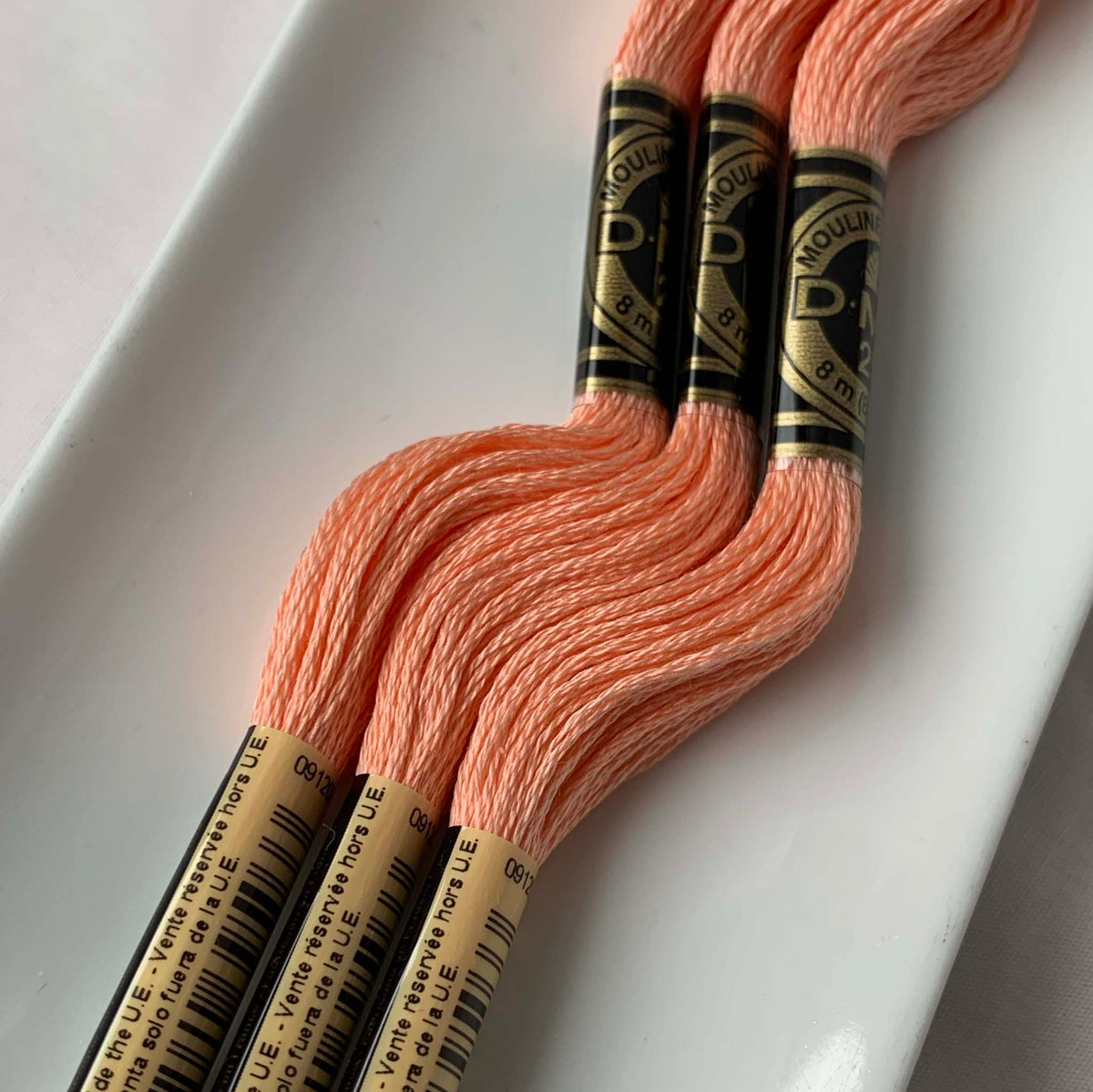 DMC Floss - 3824 Apricot Light – Marguerite's Stitchery