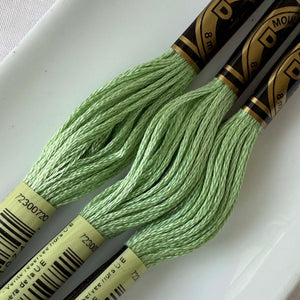 DMC Floss - 164 Light Forest Green