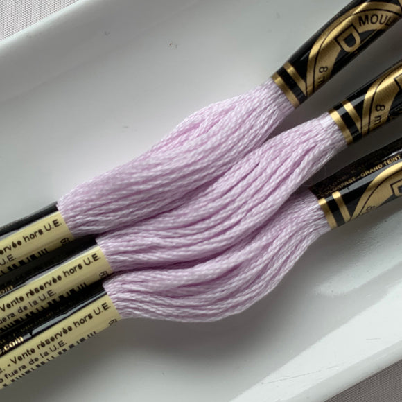 DMC 6-strand embroidery floss 24