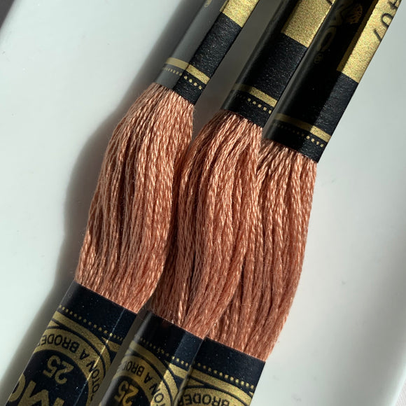 DMC 6 strand embroidery floss 407