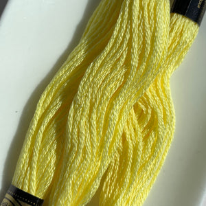 DMC 6 strand embroidery floss 445