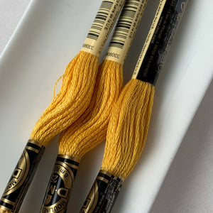 DMC 6-strand embroidery floss 728