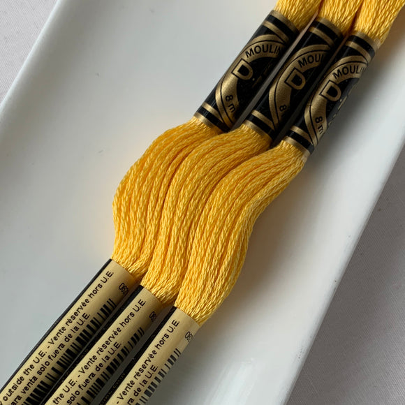 DMC 6-strand embroidery floss 743