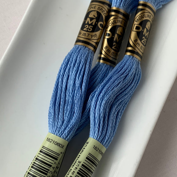 DMC 6-strand embroidery floss 809